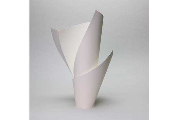 大きくゆるやかな曲線の折り目で作られたアシンメトリーな形。（写真提供：Jun Mitani）